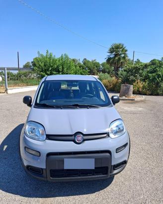 Fiat Panda 1.2 EasyPower GPL 69 CV - Unico proprie