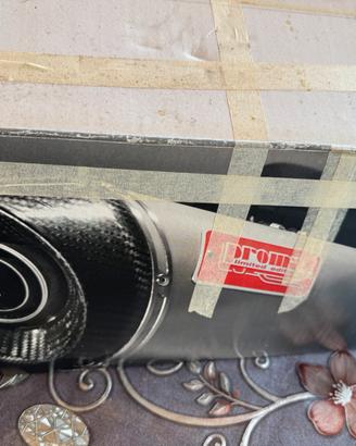 Proma ak 550