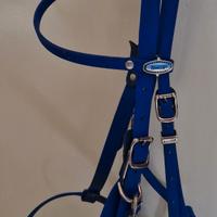 Testiera capezza trekker Pioneer cob