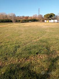 Terreno agricolo al farneto di 5200 metri