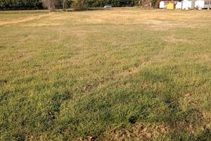 Terreno agricolo al farneto di 5200 metri