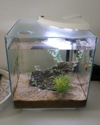 Acquario NEWA Completo di Accessori