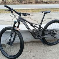 Specialized Carbon 29"