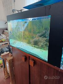 acquario 200l completo