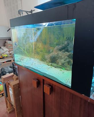acquario 200l completo