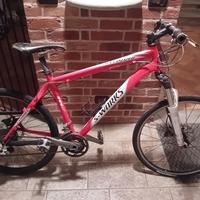 specialized  s-works