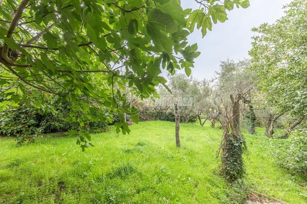 Appartamento a Viterbo Viale Fiume 5 locali