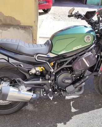 Benelli Leoncino 800