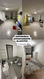 Bilocale con posto auto e scoperto