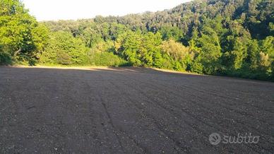 Terreno di 18120 m² a Tuscania