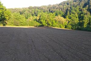 Terreno di 18120 m² a Tuscania
