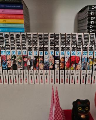 Serie One Punch Man