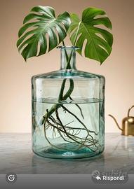Vaso grande vetro per fiori secchi e pampas