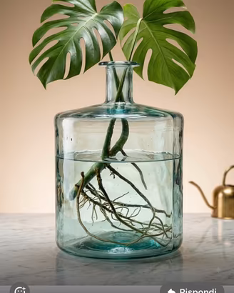 Vaso grande vetro per fiori secchi e pampas