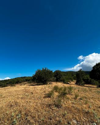 Terreno agricolo a Cesarò (ME)