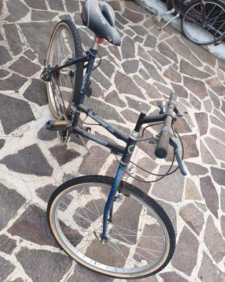 MTB Fausto Coppi Montain bike