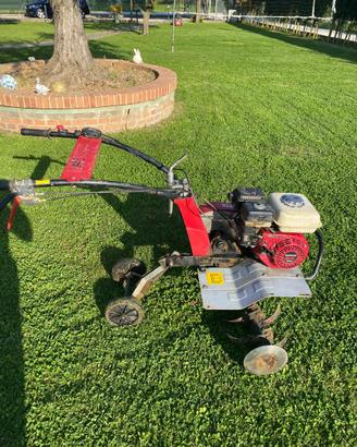 Motozzappa Honda 5,5 CV 4 tempi