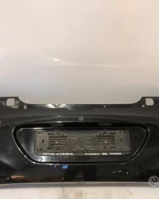 Paraurti posteriore dr1 2011