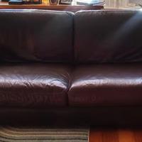 2 divani imbottiti doppi color