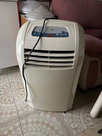 Climatizzatore “ Suntec Wellness “