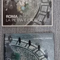 Giancarlo Gasponi Roma. La pietra e l'acqua  1999