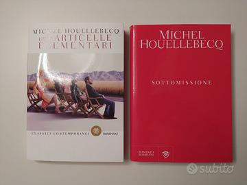 Michel Houellebecq - 2 libri