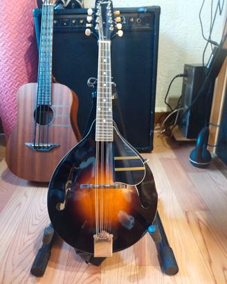 Mandolino