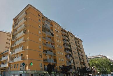 Singola prenestina serenisima - collegatissima
