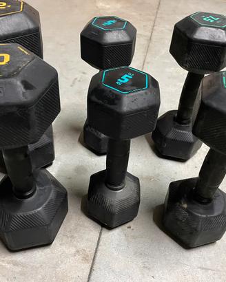 Pesi da palestra