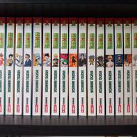 collezione completa Hunter × Hunter