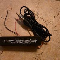 Antenna Stereo Auto Amplificata 12V