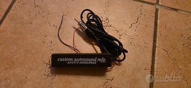 Antenna Stereo Auto Amplificata 12V