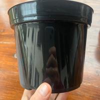 Vasi neri ARCA diametro 14 cm plastica