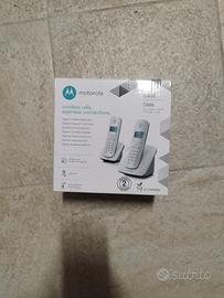 Telefono Cordless (leggi descrizione)