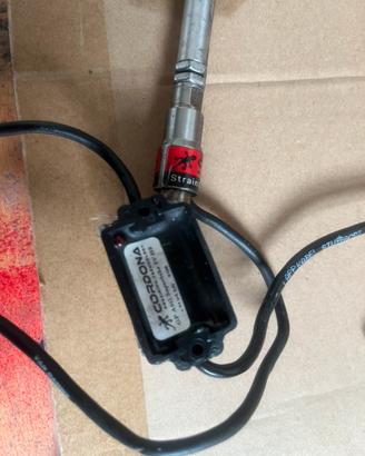 Blipper cordona Panigale v4