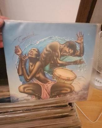 afro cosmic , lp tumblack