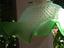 Immagine 4