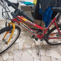 Bicicletta Mountain bike 26