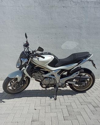 Suzuki gladius 650 