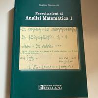 Esercitazioni di Analisi Matematica 1 (Bramanti)