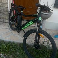 Bici elettrica