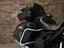 Immagine 11