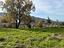 Immagine 24