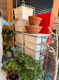 Cassettoni da esterno e interno strutt ferro