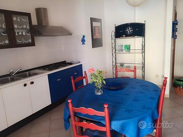 Ampio bilocale non distante dal mare