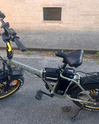 Bicicletta elettrica