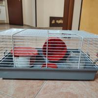 kit completo per criceti