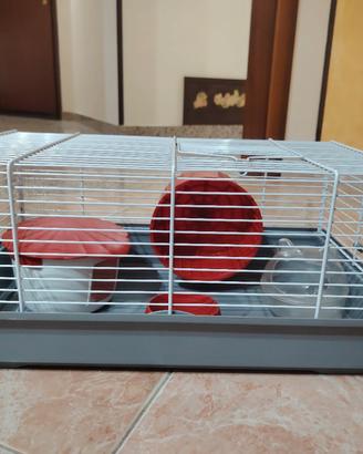 kit completo per criceti