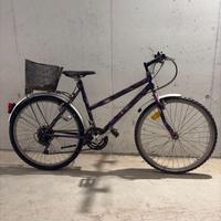 Bicicletta da donna con cestino da 26 pollici