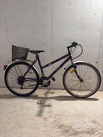 Bicicletta da donna con cestino da 26 pollici